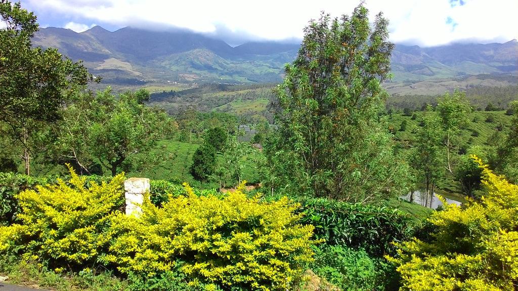 Ferndale Homestay