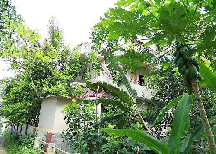 Ferndale Homestay