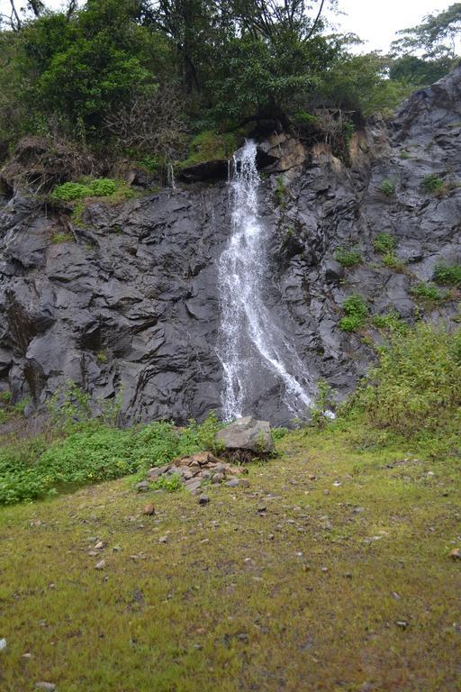 Ferndale Homestay Thekkady
