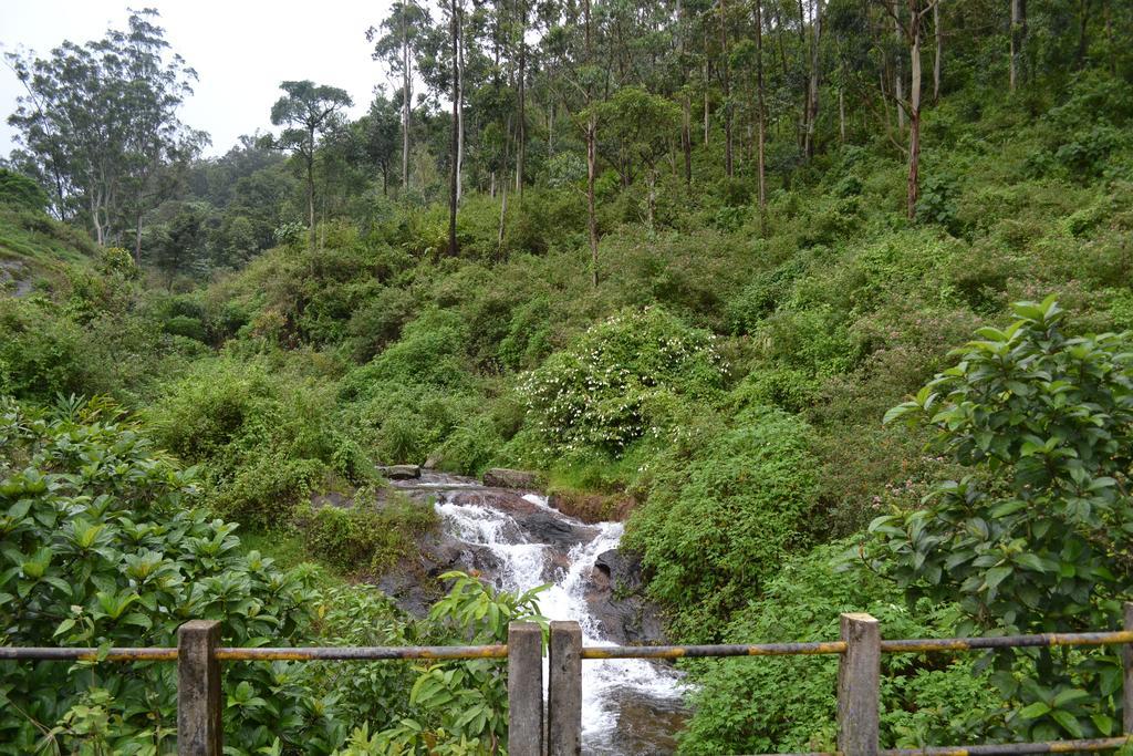 Ferndale Homestay *