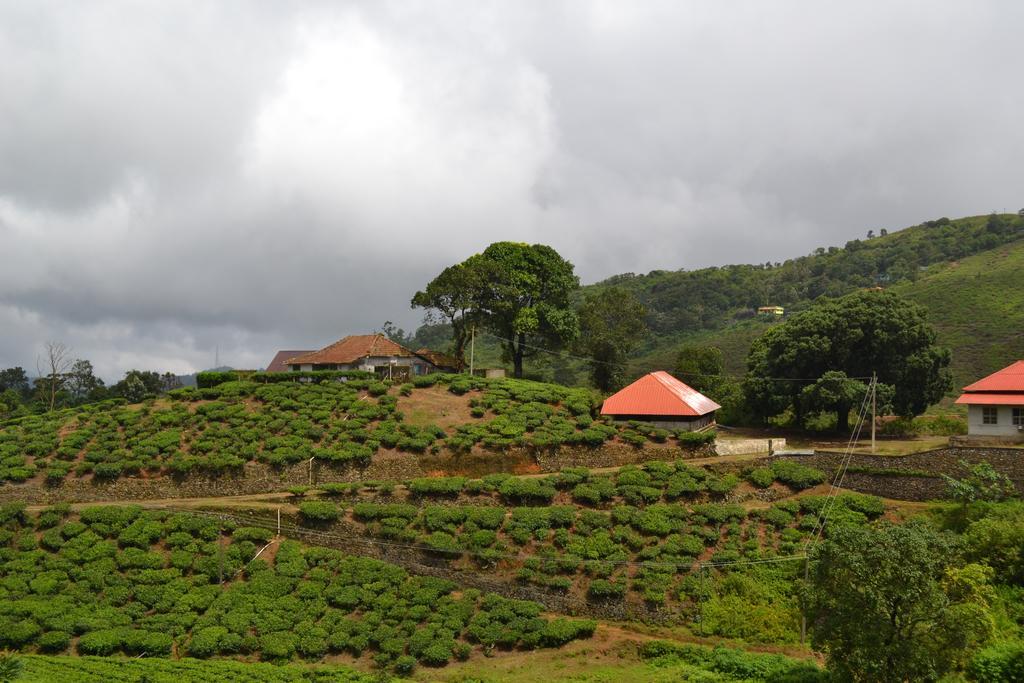 Ferndale Homestay Thekkady