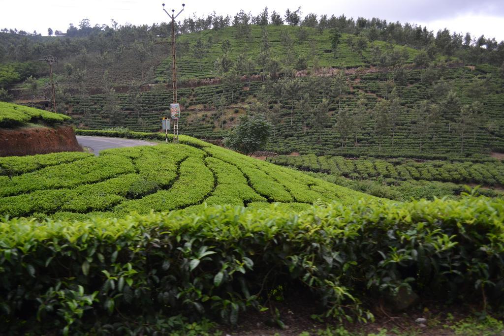 Ferndale Thekkady