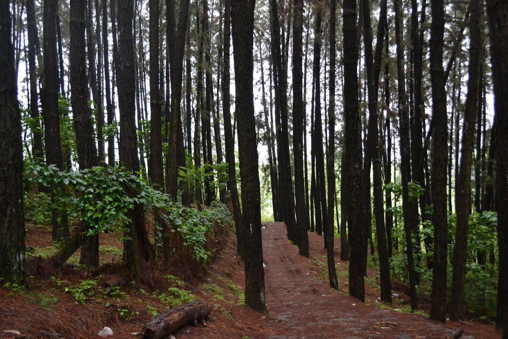 Homestay Ferndale Thekkady