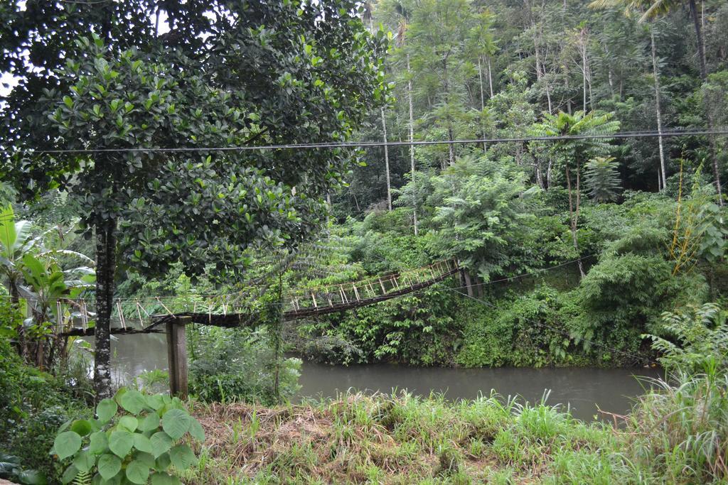 Homestay Ferndale Thekkady