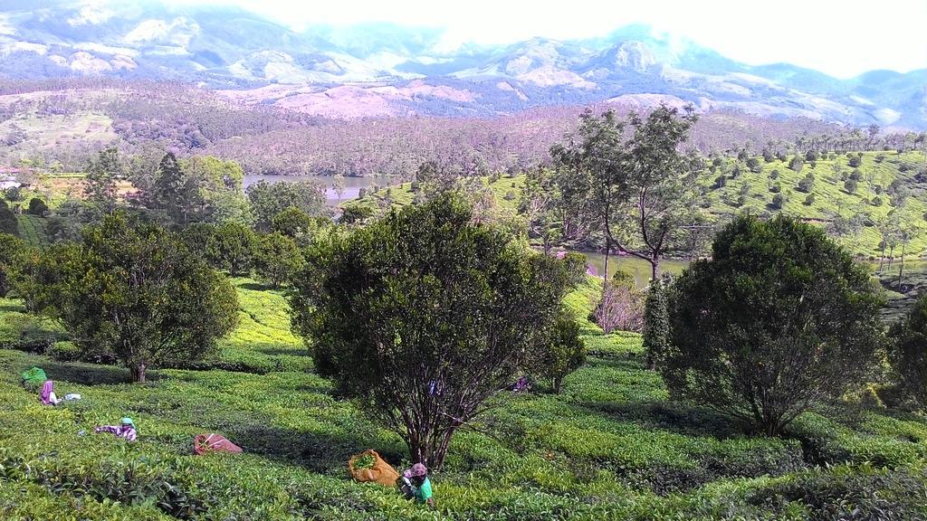 Ferndale Homestay Thekkady