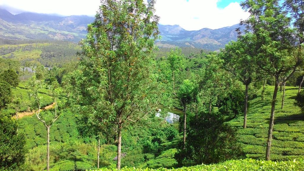 Homestay Ferndale Thekkady