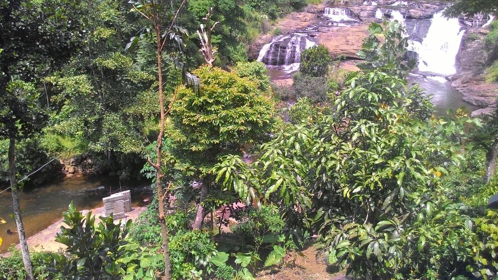 Ferndale Homestay Thekkady
