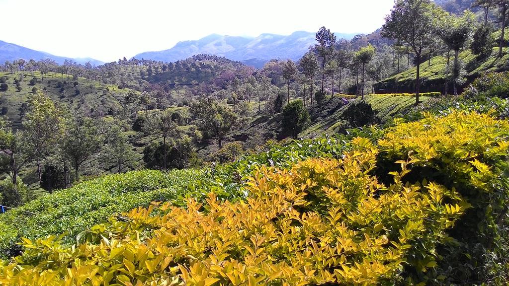 Homestay Ferndale Thekkady