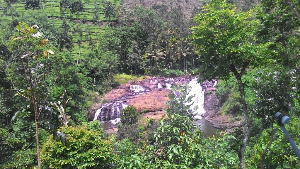 Homestay Ferndale
