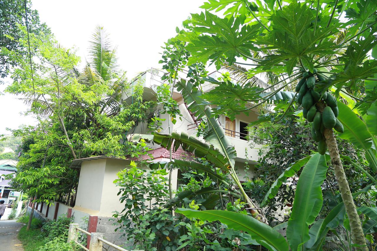 Homestay Ferndale